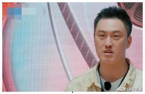 吃瓜娱乐圈近期,吃瓜群众热议最新热点事件