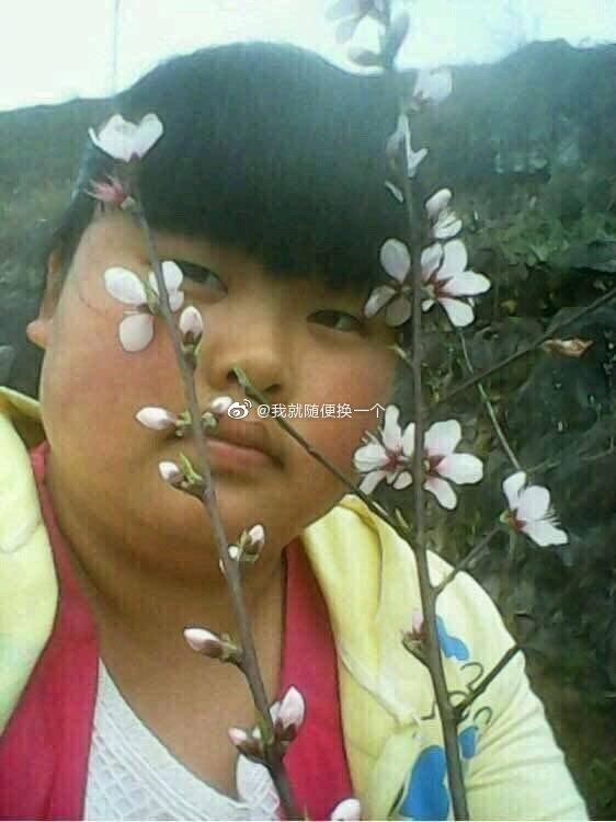 吃瓜娱乐污下载